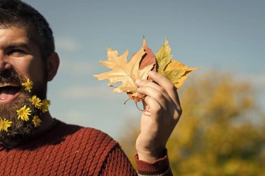 Güneşli doğal çiçek sakallı adam düşmek.