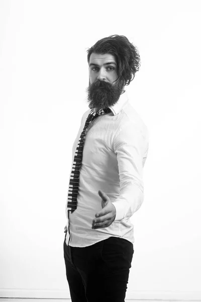 Homme Longue Barbe Moustache Sur Visage Hipster Chemise Cravate Musicale — Photo