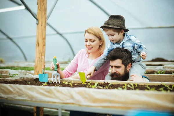 Família feliz. trabalho familiar feliz em estufa. família feliz em casa jardim. feliz dia da família. plantando uma planta cultivada de sementes . — Fotografia de Stock