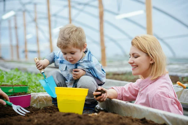 母と子の温室で。母と子の現代の温室庭園での作業します。母と息子の温室で木を植えること。母と息子の幸せな日。温室効果 — ストック写真