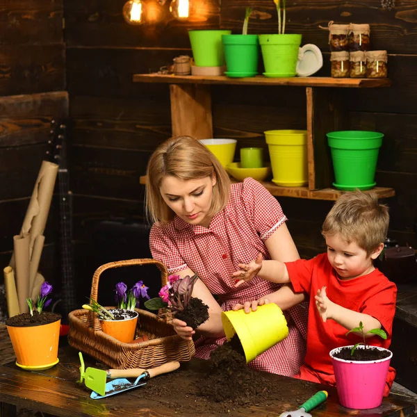 コンセプトを植林します。母と息子の新しい鍋に花の植え替え。母と子の黒い土や汚れで観葉植物の植え替え。植林のための準備 — ストック写真