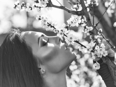 Çiçek açan kayısı kadınla