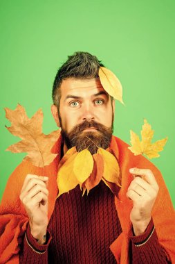 Doğal sarı sonbahar adamla sakal ekose içinde bırakır..
