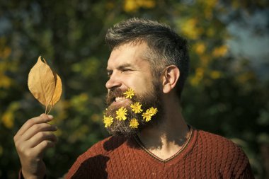 Hipster veya sonbahar doğa açık sakallı adam.