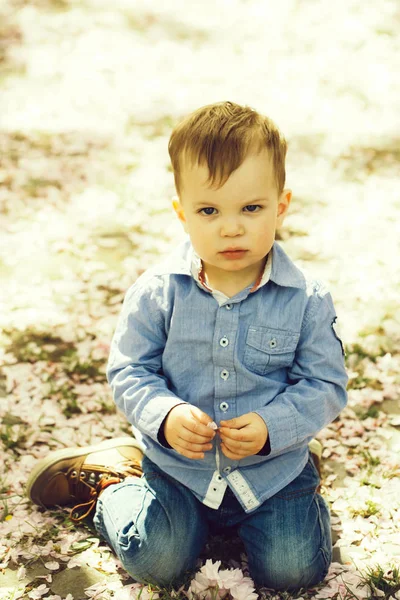 Cute boy on ground covered with pink blossoming flower petals — Stock Photo, Image