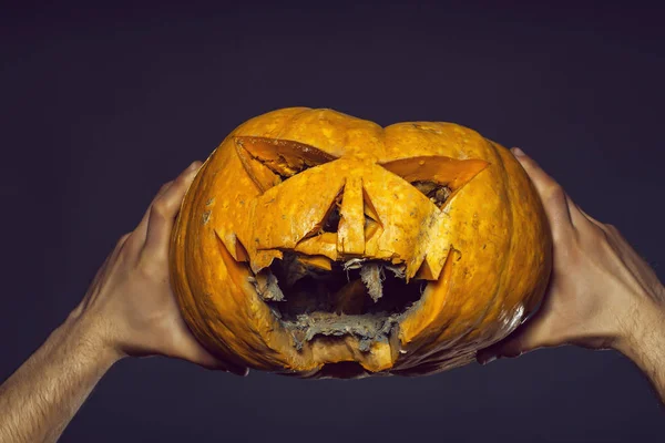 Manos masculinas con calabaza — Foto de Stock