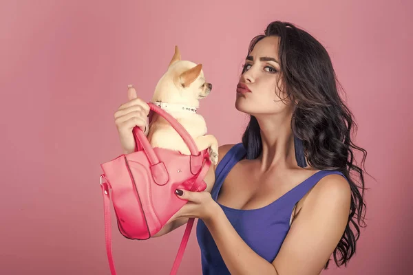 Fille propriétaire baiser chihuahua chien dans un sac rose — Photo