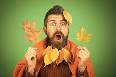 Berber ve Kuaför, yaprakları sakal.