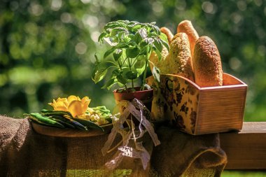 Ekmek kutusu, fesleğen bitki tencerede, sebze tepsi