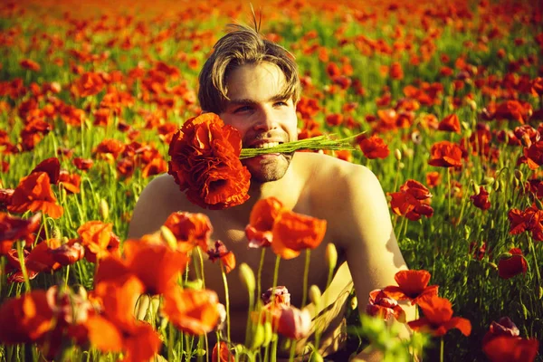 Facet z mięśni ciała przytrzymaj bukiet kwiatów w zęby w polu czerwonym makiem na słoneczny tło naturalne, lato, zatrucia narkotykami i miłości, opium, Walentynki — Zdjęcie stockowe