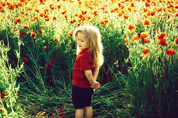 Barn eller leende liten pojke med långa blonda hår i röd tröja i ängen av vallmo med grön stjälk på naturlig bakgrund, sommaren, våren, barndom och lycka, opium, ekologi och miljö — Stockfoto