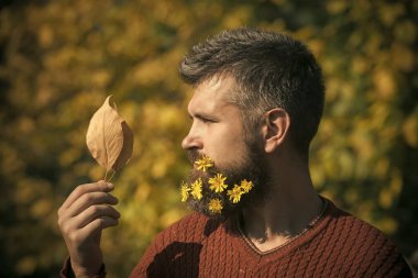 Berber ve Kuaför, karahindiba sakal.