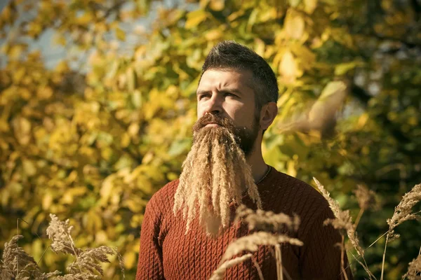 Hipster ou barbudo cara no outono natureza ao ar livre . — Fotografia de Stock
