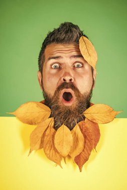 Hipster veya yeşil zemin üzerine sonbaharda sakallı adam.