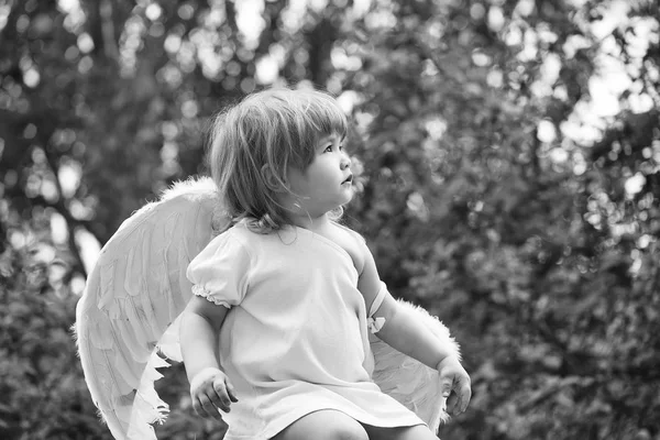 Piccolo ragazzo in ali d'angelo — Foto Stock