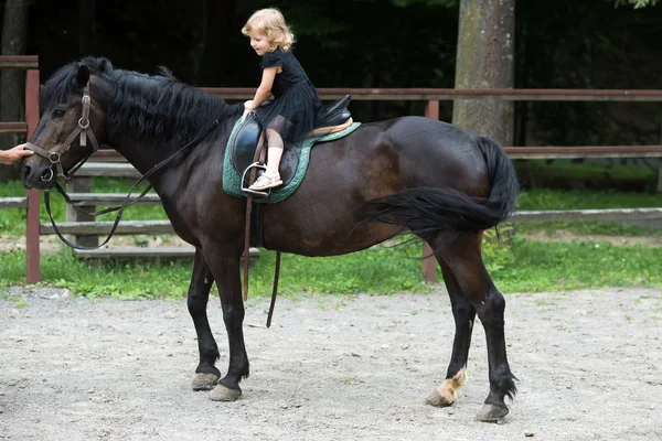 Mädchen reitet an einem Sommertag auf dem Pferd — Stockfoto