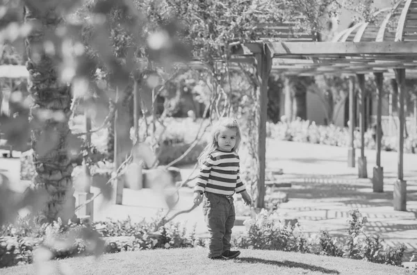 Baby jongen wandeling in tropische tuin met bloeiende bomen — Stockfoto