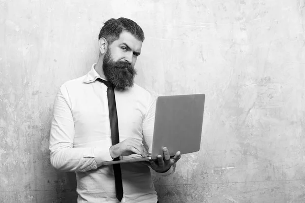 businessman with long beard work on laptop