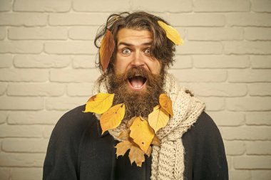 Sonbahar adam tutun yaprak yüzüne şaşırttı.