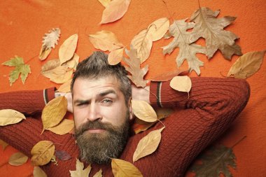 adam sonbahar yaprakları ve sakal