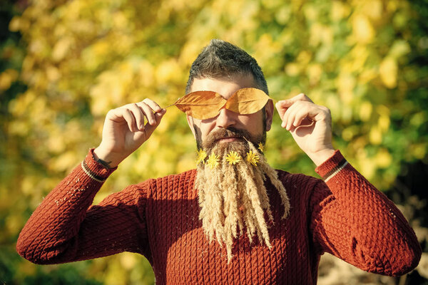 Spikelet beard at barber and hairdresser.