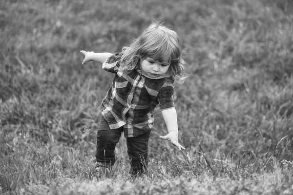 Mały chłopczyk na zielonej trawie — Zdjęcie stockowe