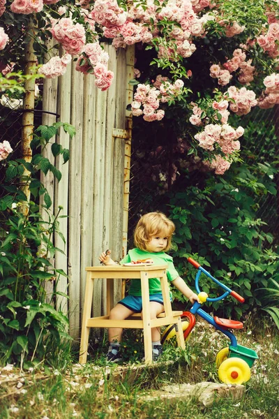 Маленький мальчик ест рядом с розовым кустом — стоковое фото