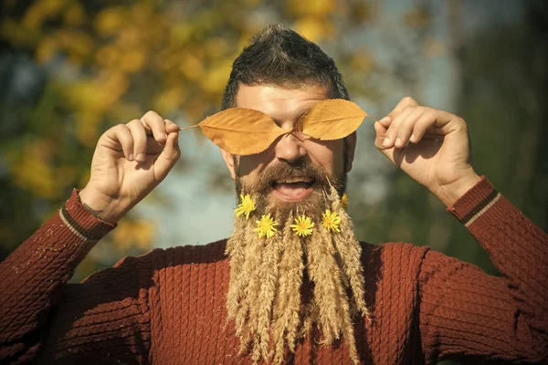 Hombre con barba de espiguilla natural otoño soleado . — Foto de Stock