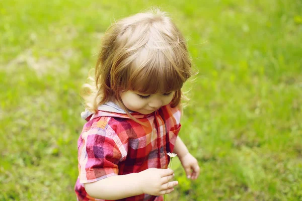 Niño pequeño feliz en la hierba verde —  Fotos de Stock