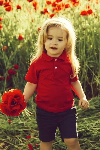 Lindo niño en el campo de amapola en verano caliente —  Fotos de Stock