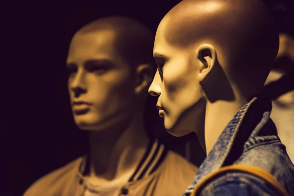 mannequin or dummy with human face imitating people conversation, fashion