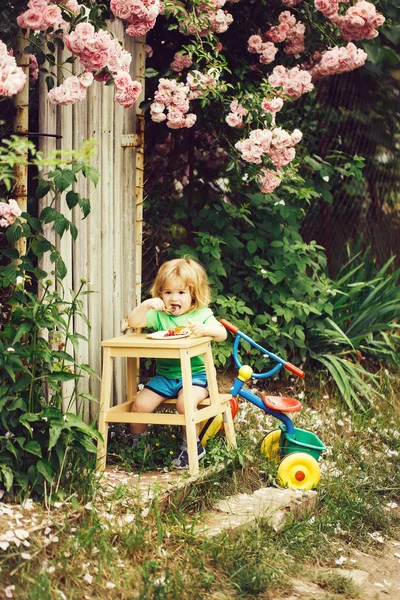 Piccolo ragazzo mangiare vicino cespuglio di rose — Foto Stock