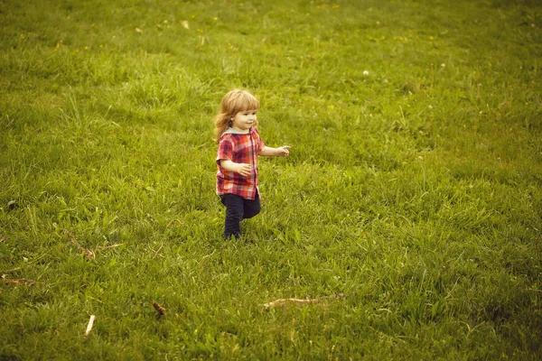 Menino pequeno na grama verde — Fotografia de Stock