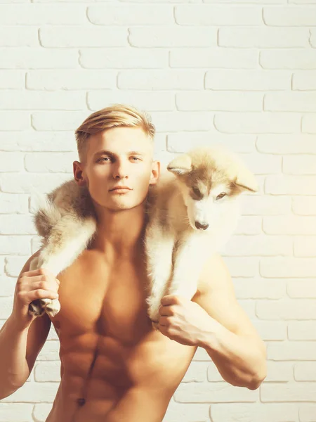 Muscular man with sexy body, husky dog, puppy pet — Stock Photo, Image