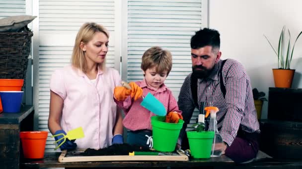 소년, 그의 부모와 함께 쏟아 지구는 냄비에 삽으로 그들의 꽃을 설치 하기 위하여. 가족 여가의 개념 — 비디오