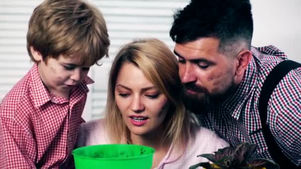 El niño, su madre y su padre se divierten dedicando tiempo a plantar flores de verano. La familia mira en una maceta donde se plantaron flores. Concepto de plántulas . — Vídeo de stock