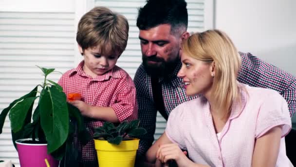 Il ragazzo, con i suoi genitori, fiori d'acqua che sono appena stati piantati in vasi colorati. Piccolo giardiniere. Piante da vaso estive . — Video Stock