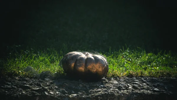 Halloween autumn harvest and holiday food. — Stock Photo, Image