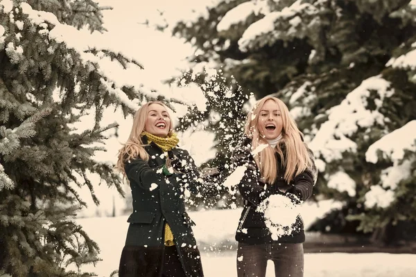 Glada systrar spelar snöbollar i skogen på vinterdag — Stockfoto