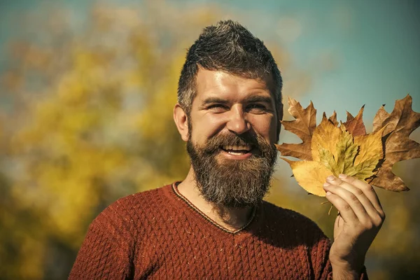 Homem com folhas de outono bouquet na mão e barba — Fotografia de Stock