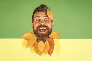 Doğal sarı düşüşlü adam sakal bırakır.