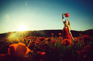 haşhaş tohumu alanında kadın