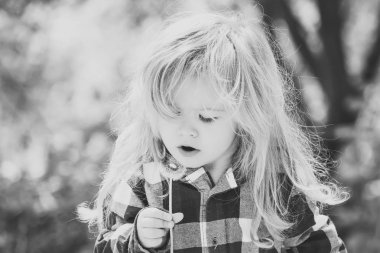 Çocuk karahindiba darbe bahar ya da yaz Park