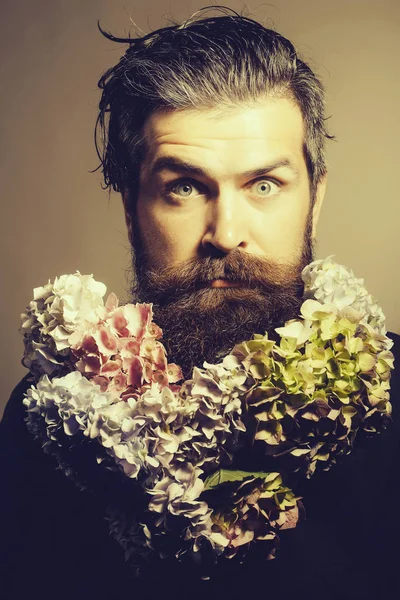 Homme barbu avec des fleurs d'hortensia — Photo