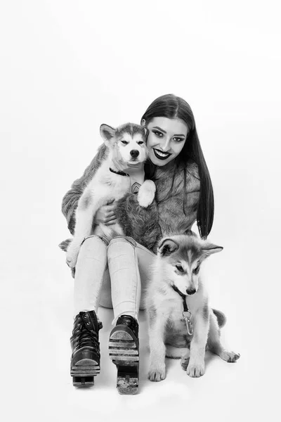 Seksowny dziewczynka z psem husky — Zdjęcie stockowe