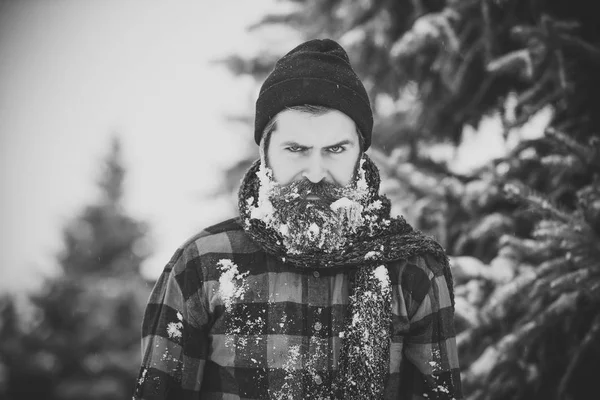 Christmas hipster in hat at wood. — Stock Photo, Image