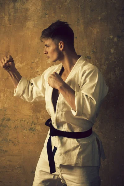 Coach of karate, man posing in fighting stance with fists — Stock Photo, Image