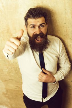 mutlu yüz üzerinde uzun sakallı adam veya hipster sakallı