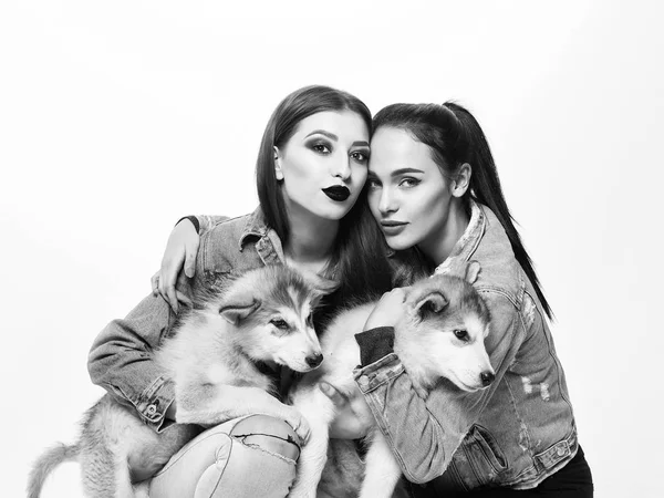 Chicas en denim con husky — Foto de Stock