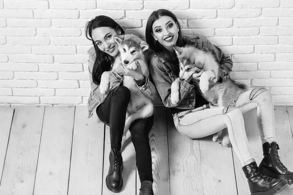 Girls in denim with husky — Stock Photo, Image